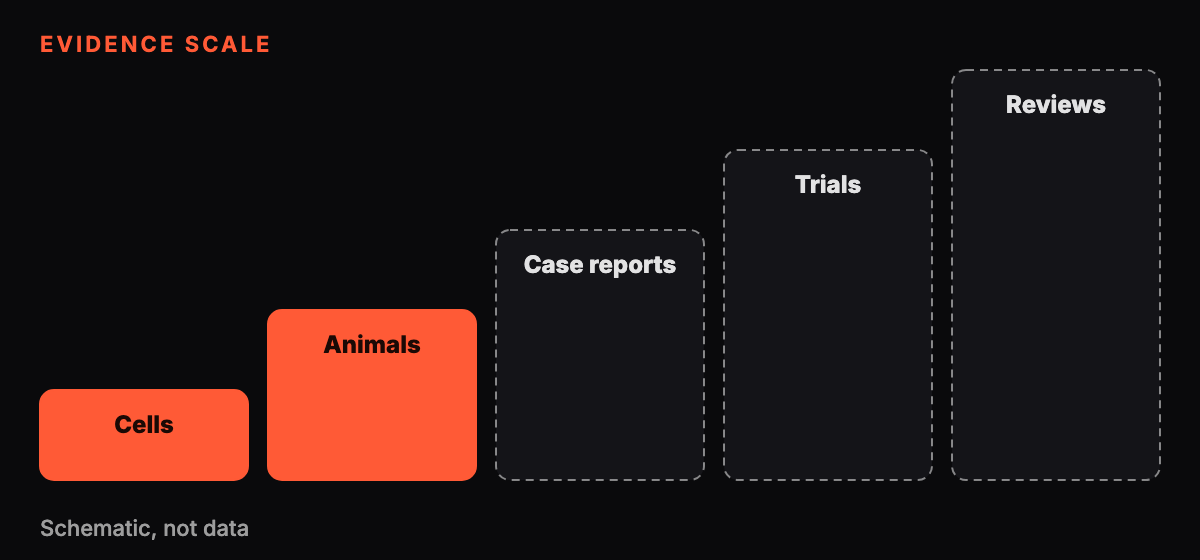 Abstract five-step staircase graphic with only the lower steps filled, representing the evidence scale