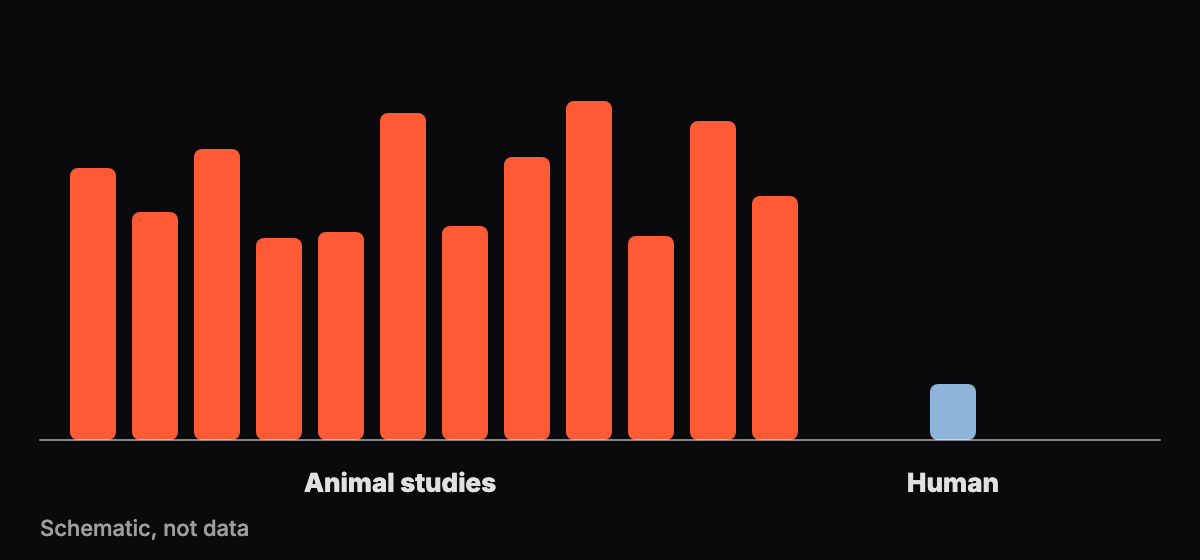 Abstract graphic showing many tall bars labeled animal and a single short bar labeled human on a dark background