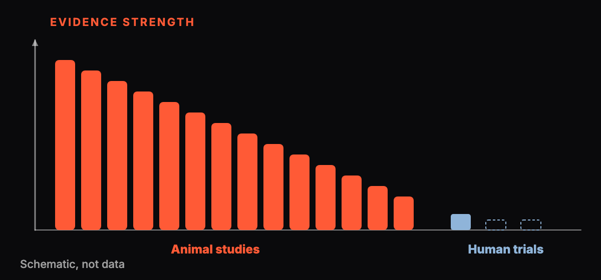 Abstract bar sketch of evidence strength, many animal bars and almost no human bars, schematic only