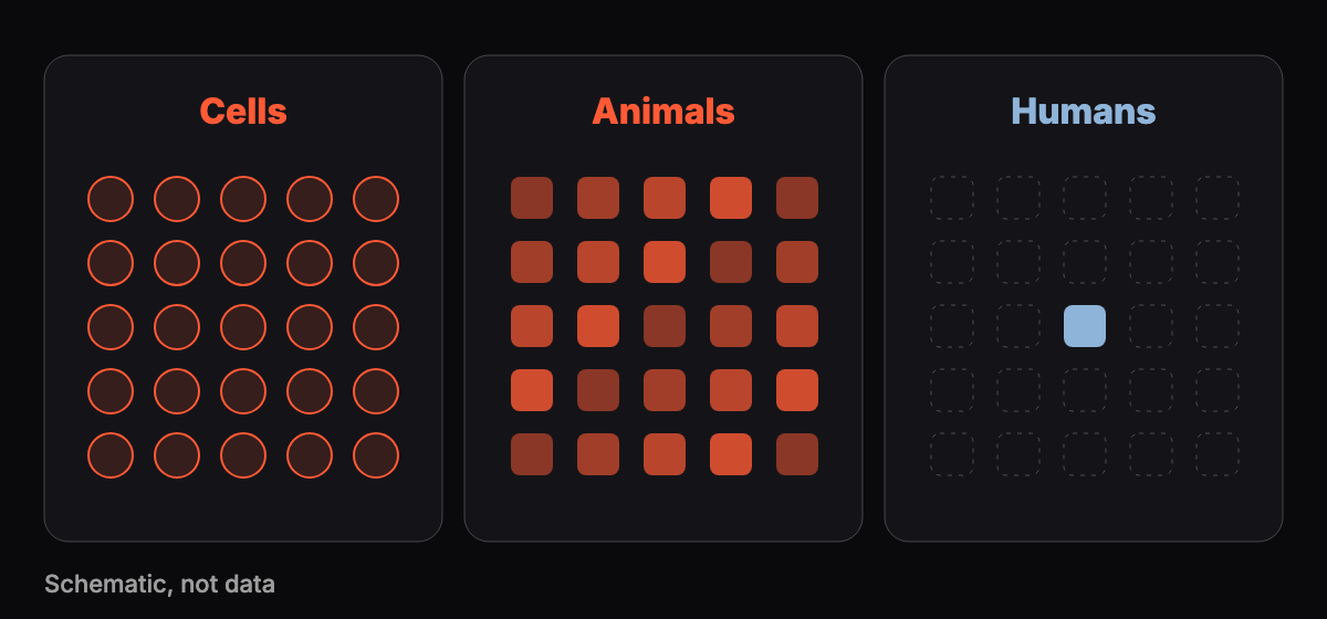 Abstract graphic of three separate panels labeled cells, animals and humans, with the humans panel nearly empty, dark background
